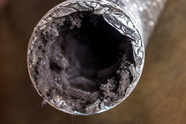 Best Affordable HVAC Duct Cleaning  in Fort Hunt, VA