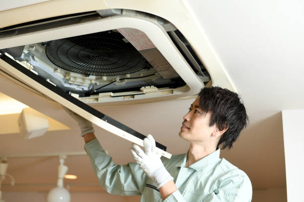 Best Air Duct Mold Removal  in Fort Hunt, VA